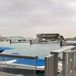 albandar-alraha-beach-property-canals-views-down-the-bulliding