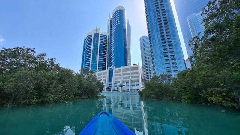 ayaking-among-mangroves-near-city-of-lights