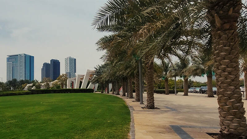 gateway-park-palm-trees-and-grass