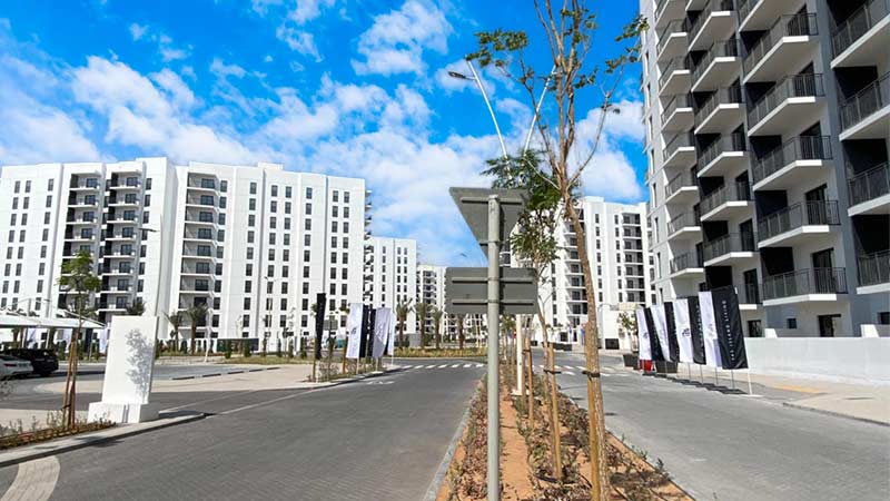 waters-edge-inner-community-views-with-young-trees-growing