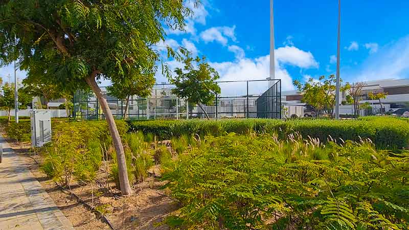 mayan-sports-courts-enveloped-in-trees-and-greenery