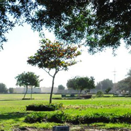 wide-open-fields-with-grasses-and-young-trees-spread-out-in-gateway-park