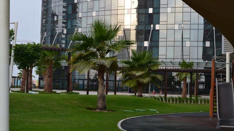 grass-and-trees-on-podium-area-near-sky-tower