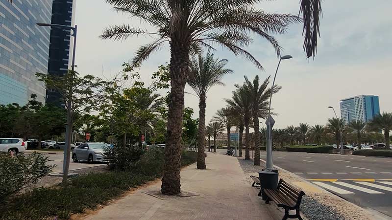 palm-trees-and-park-bench-in-gate-district