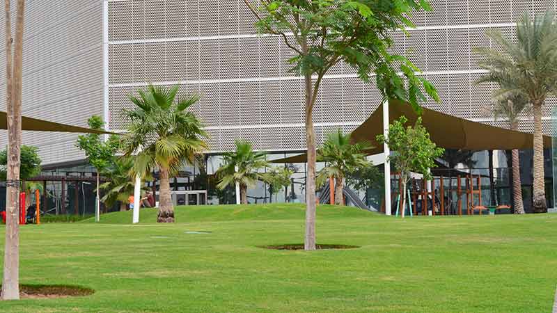 grass-trees-and-kids-play-areas-near-shams-boutiks-western-side