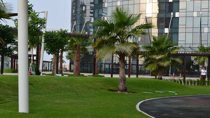 grass-and-palm-trees-near-sun-towers-base