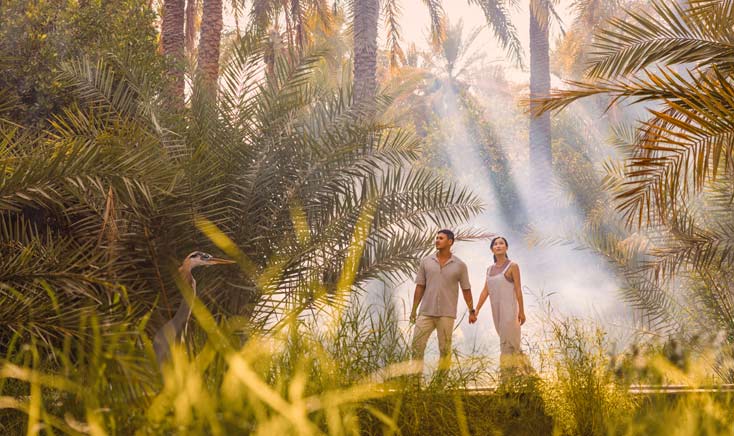 al-ain-oasis-with-couple-strolling-through