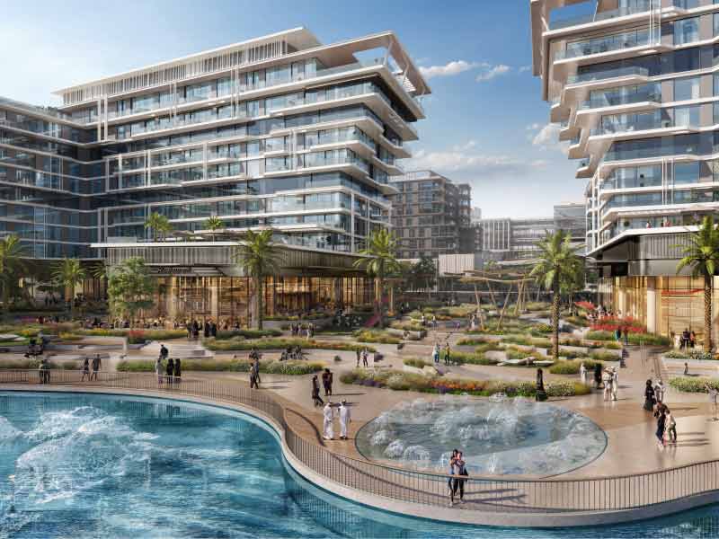 The source-Saadiyat Grove 2