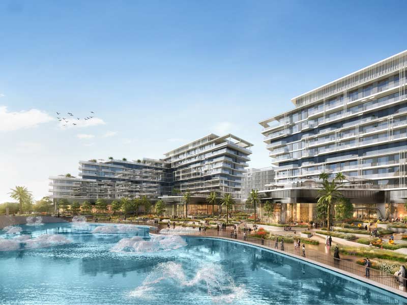 The source-Saadiyat Grove 4