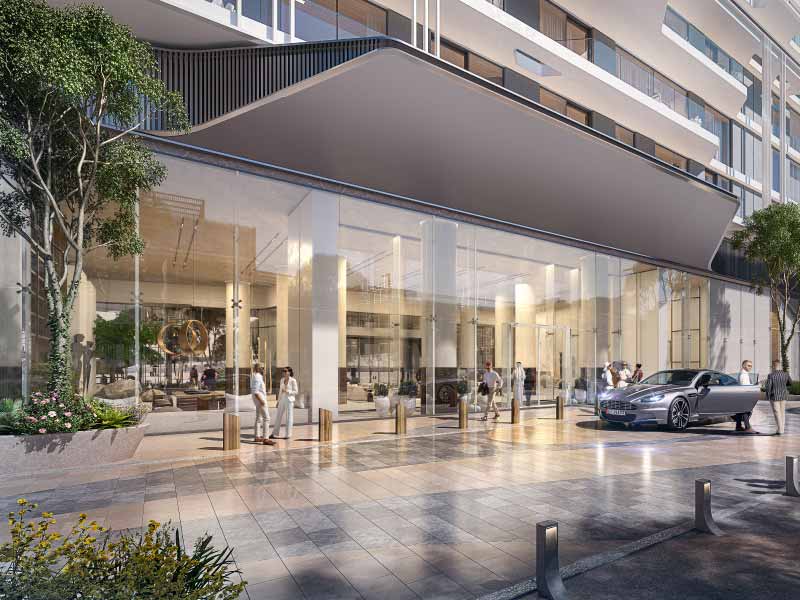 The source-Saadiyat Grove 8