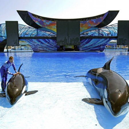 Seaworld-Abudhabi