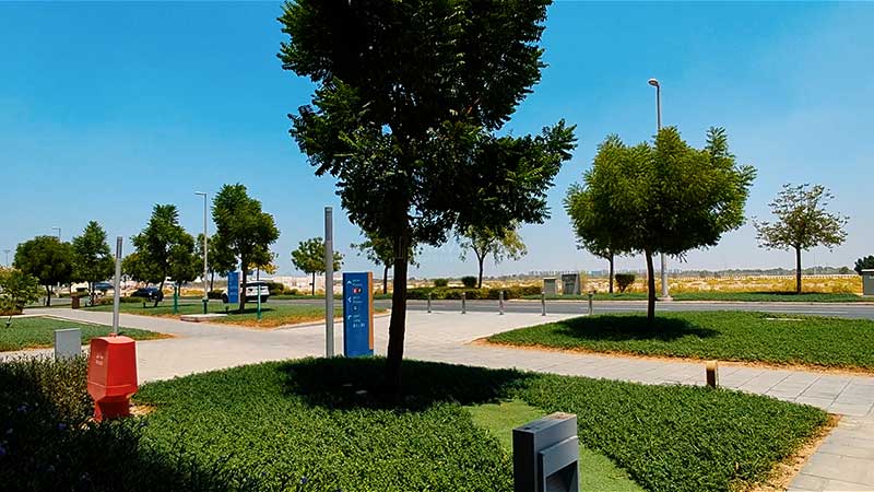 ground covered grass with trees and open spaces in al zeina