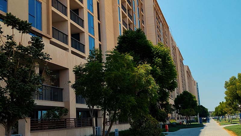 trees outside near the building in al zeina