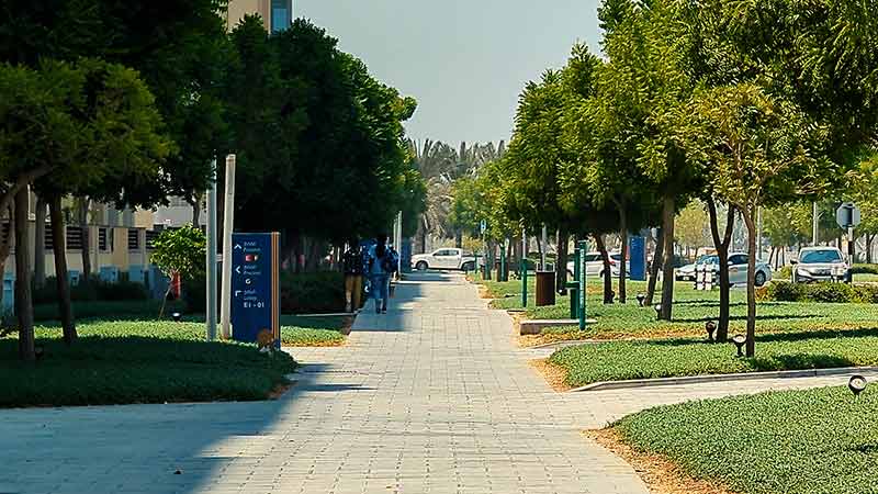 cemented walkway and lush green on the side with trees