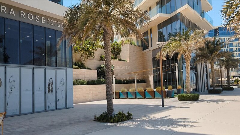 palm trees along curbside establishment in Saadiyat