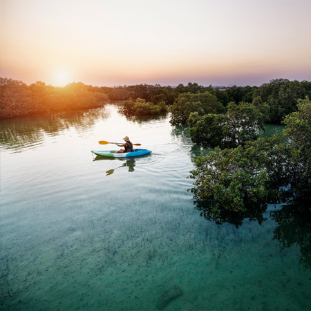 HT-Mangrove-National-Park