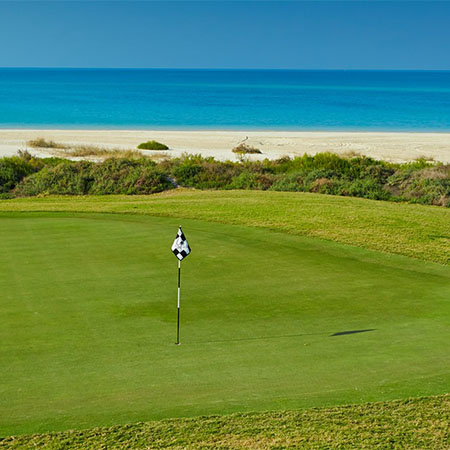 Saadiyat Cultural District - Amn (7)