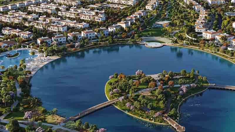 Bloom Living Toledo - Gallery (12)