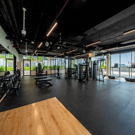 Danet Abu Dhabi Header (5)