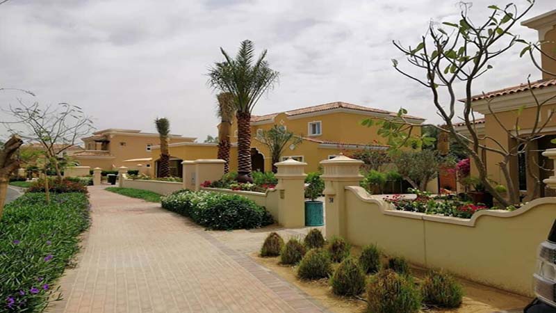 Electra-Street- Gallery (11)