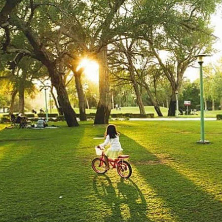 Mushrif Gardens Amenities (5)