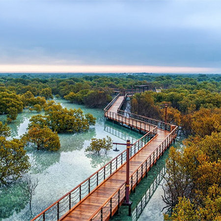 Mushrif Gardens Amenities (7)