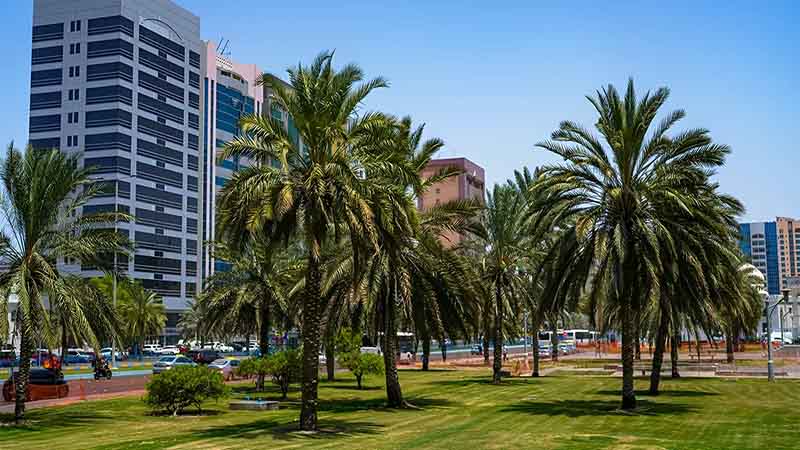 madinat-zayed-gallery (2)