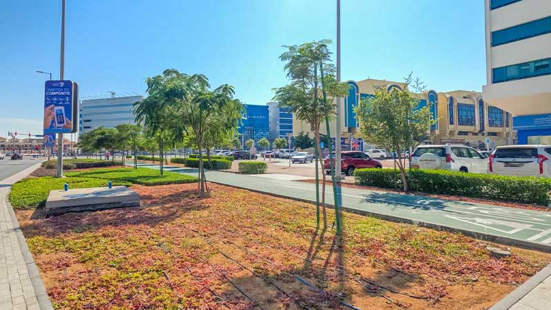 Al Nasr Street Gallery (5)