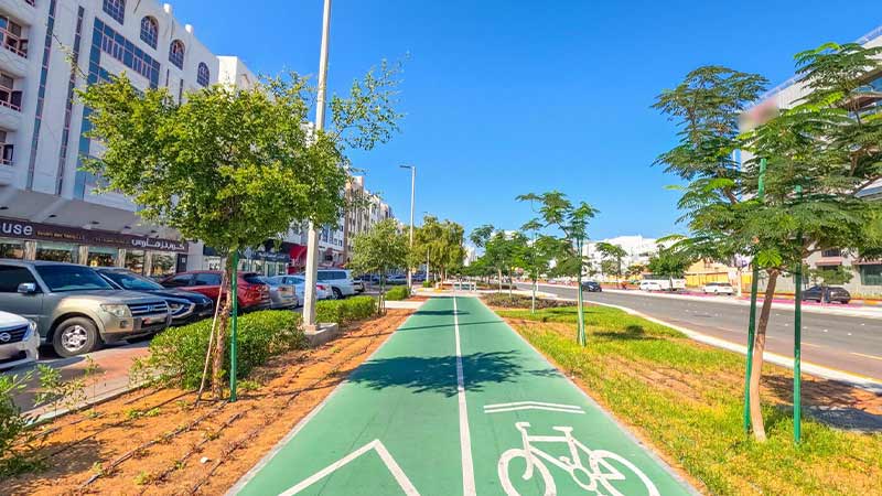 Al Nasr Street Gallery (8)