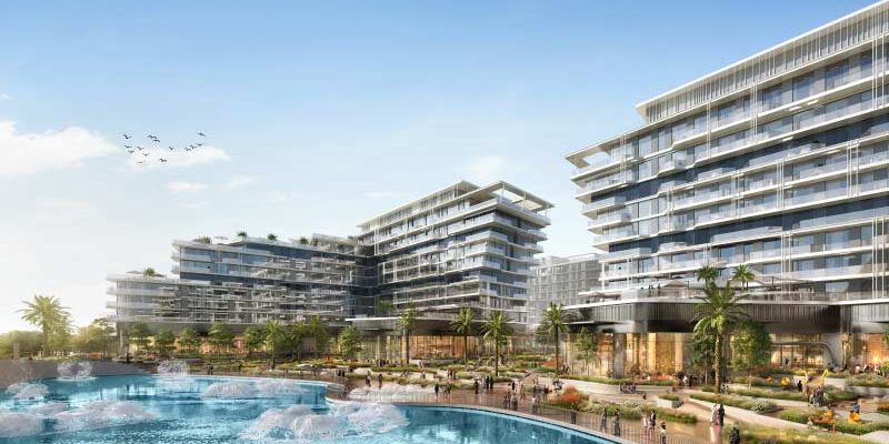 The source-Saadiyat Grove 4